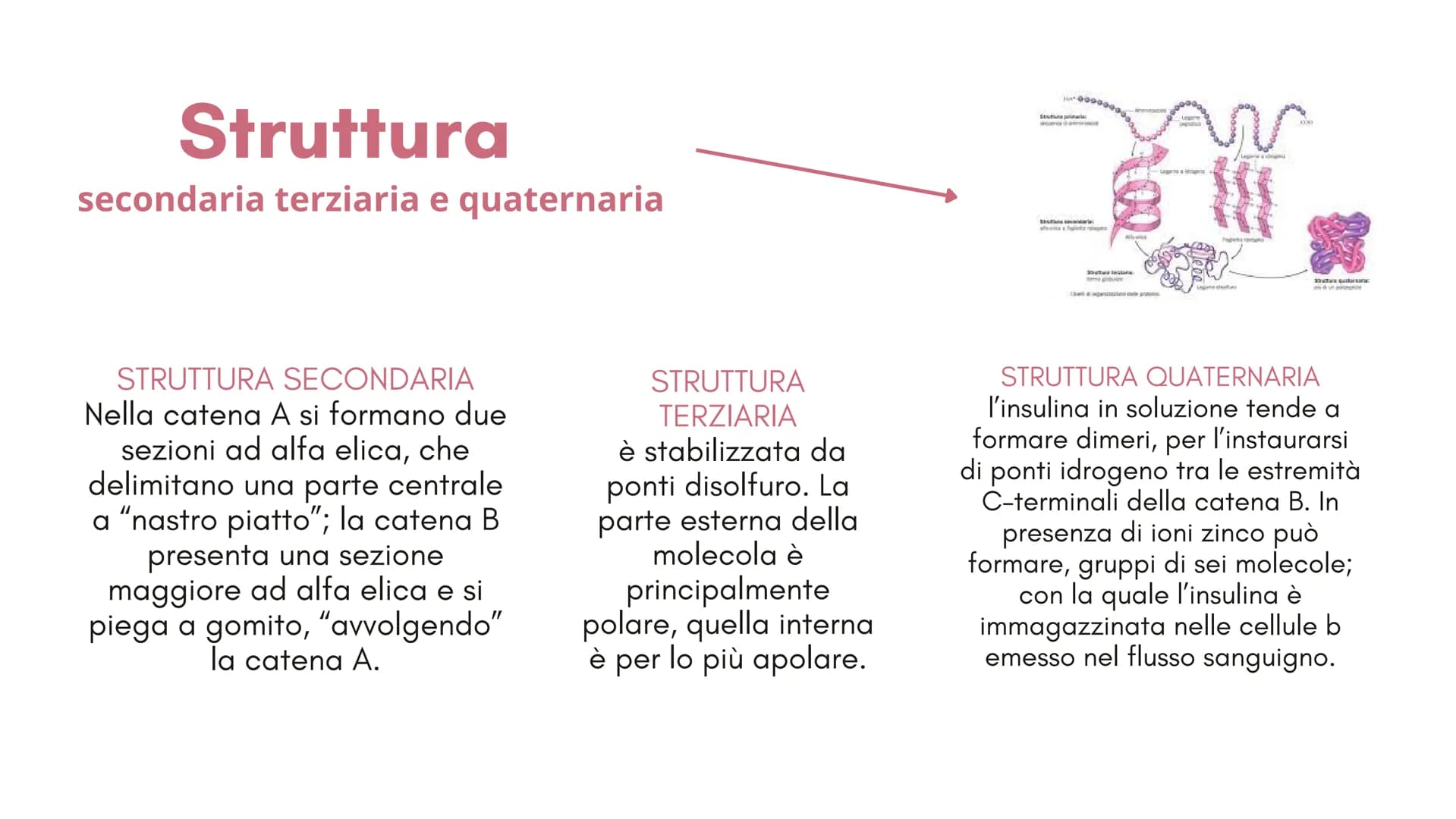  1
Definizione e
classificazione
del diabete
M
1
S Cos'è il
diabete?
Il diabete è una malattia cronica
dove a causa della carenza o del
malf