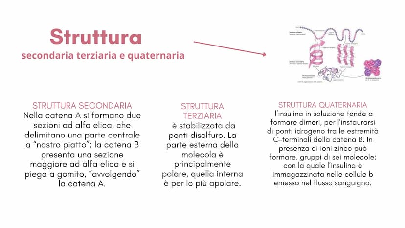  1
Definizione e
classificazione
del diabete
M
1
S Cos'è il
diabete?
Il diabete è una malattia cronica
dove a causa della carenza o del
malf