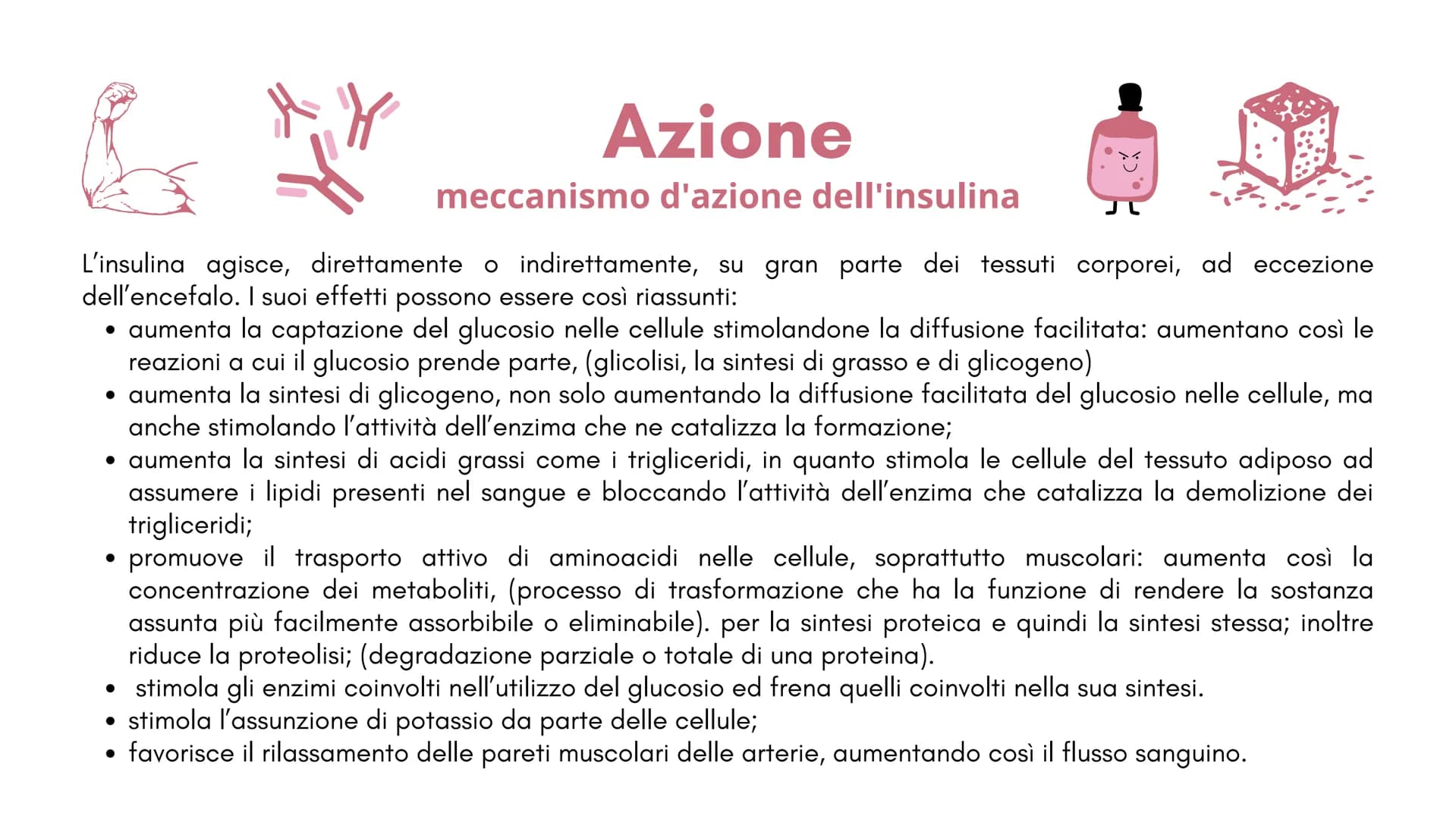  1
Definizione e
classificazione
del diabete
M
1
S Cos'è il
diabete?
Il diabete è una malattia cronica
dove a causa della carenza o del
malf