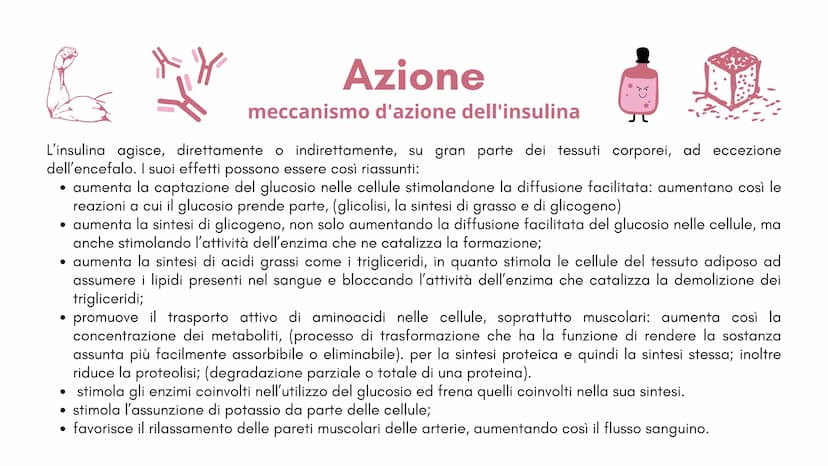  1
Definizione e
classificazione
del diabete
M
1
S Cos'è il
diabete?
Il diabete è una malattia cronica
dove a causa della carenza o del
malf