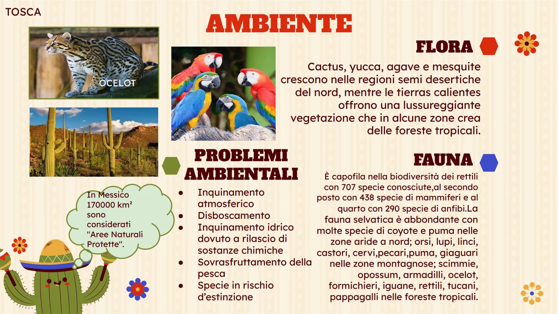 MESSICO
Atienza Alessia,Kumi Tosca,
Nizam Rahita, Villanueva Elisia,Zefi
Kiara
!!!!!
L TERRITORIO
Slide 4,5,6
AMBIENTE
Slide 8
INDICE(1)
CLI