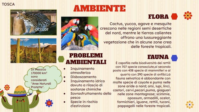 MESSICO
Atienza Alessia,Kumi Tosca,
Nizam Rahita, Villanueva Elisia,Zefi
Kiara
!!!!!
L TERRITORIO
Slide 4,5,6
AMBIENTE
Slide 8
INDICE(1)
CLI