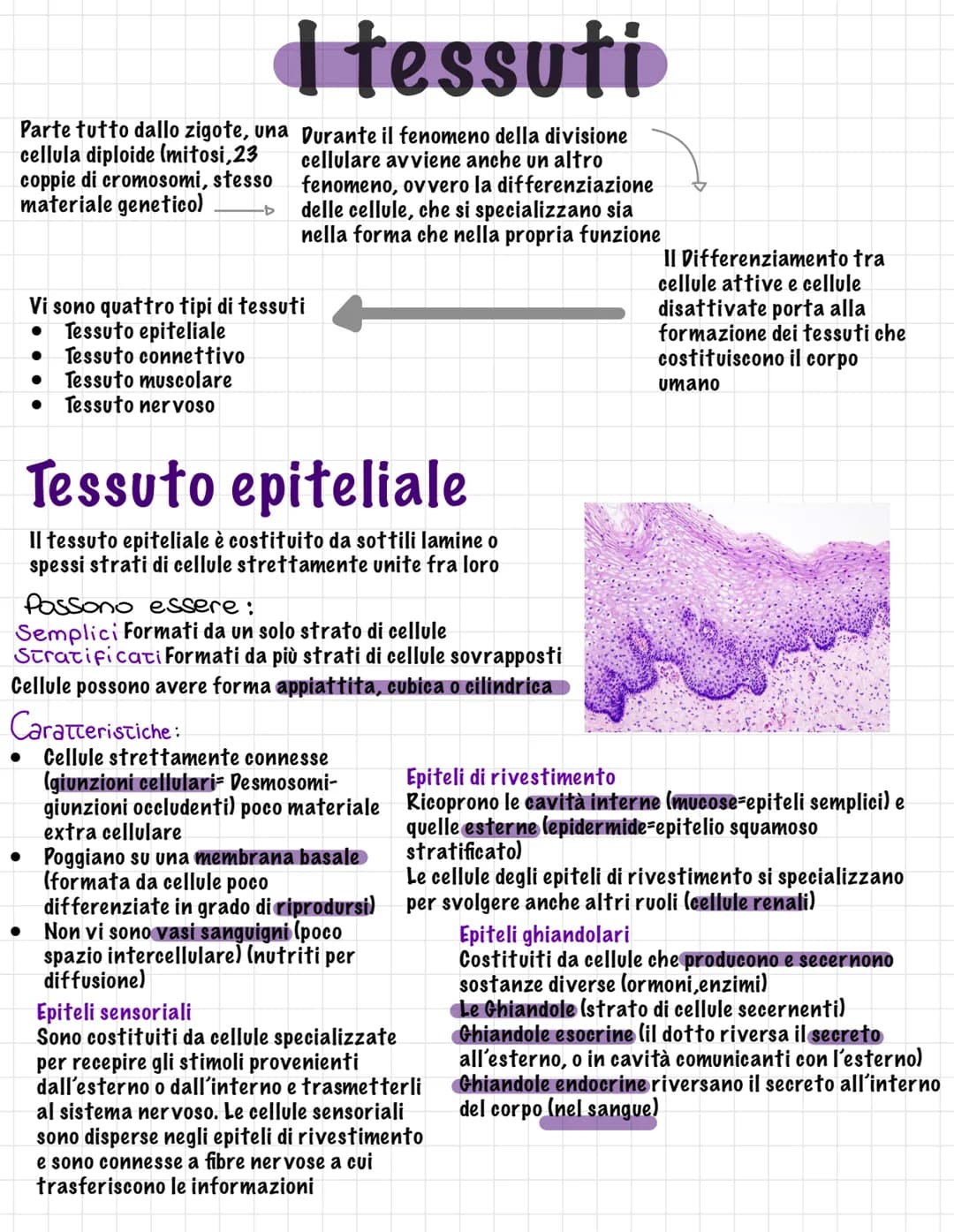 Parte tutto dallo zigote, una
cellula diploide (mitosi,23
coppie di cromosomi, stesso
materiale genetico)
I tessuti
Durante il fenomeno dell