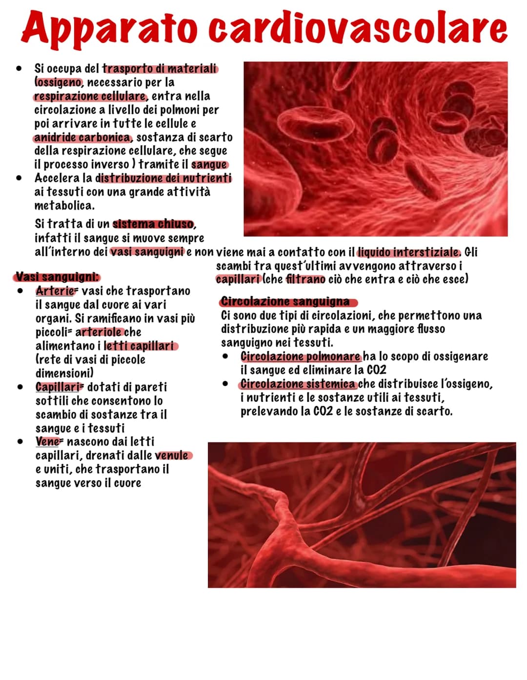 Parte tutto dallo zigote, una
cellula diploide (mitosi,23
coppie di cromosomi, stesso
materiale genetico)
I tessuti
Durante il fenomeno dell