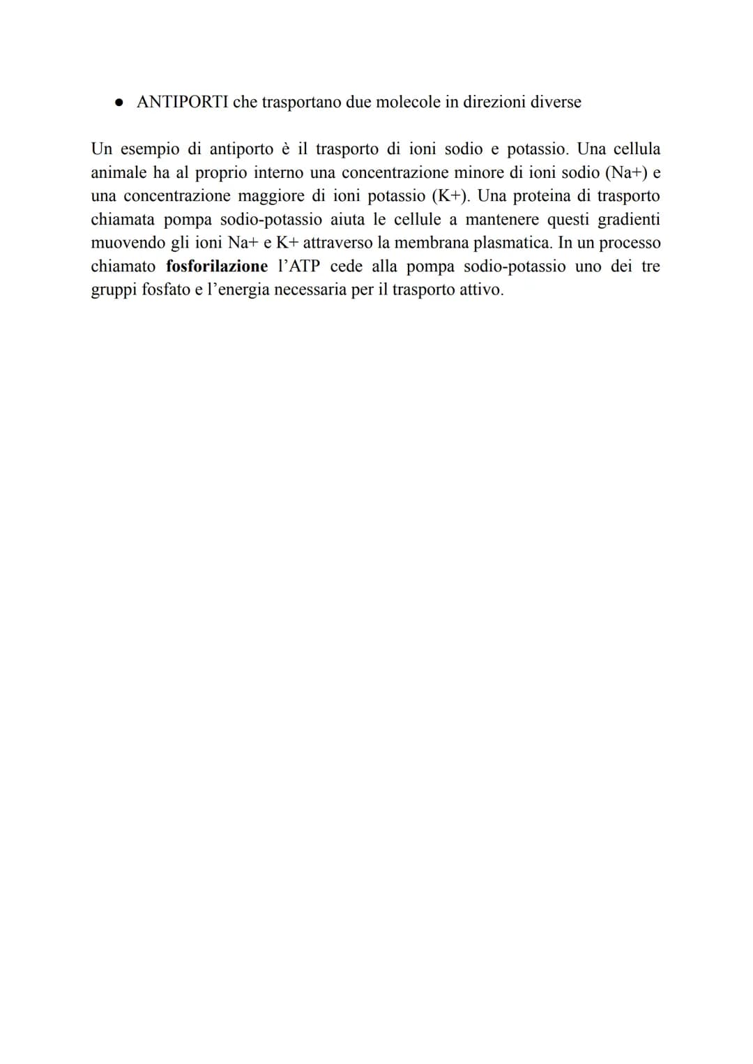 TRASPORTO ATTIVO E PASSIVO
Tutte le cellule sono selettivamente permeabili.
Esse possono, infatti, sopravvivere se lasciano entrare solo ciò