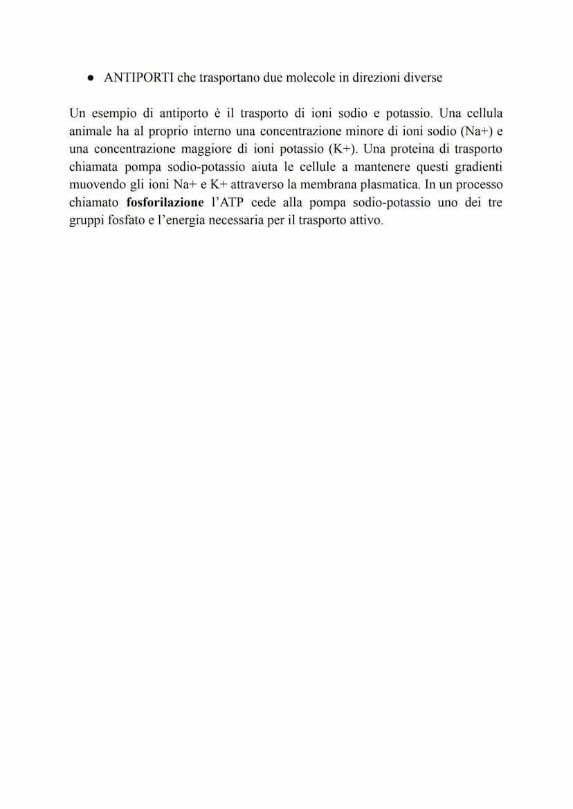TRASPORTO ATTIVO E PASSIVO
Tutte le cellule sono selettivamente permeabili.
Esse possono, infatti, sopravvivere se lasciano entrare solo ciò