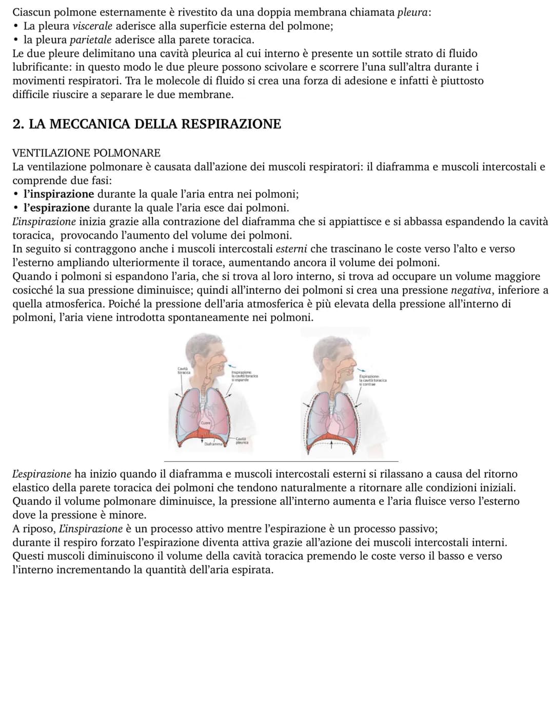 Apparato respiratorio
1. ANATOMIA
L'apparato respiratorio comprende le vie aeree superiori (naso e faringe) e le vie aeree inferiori (laring