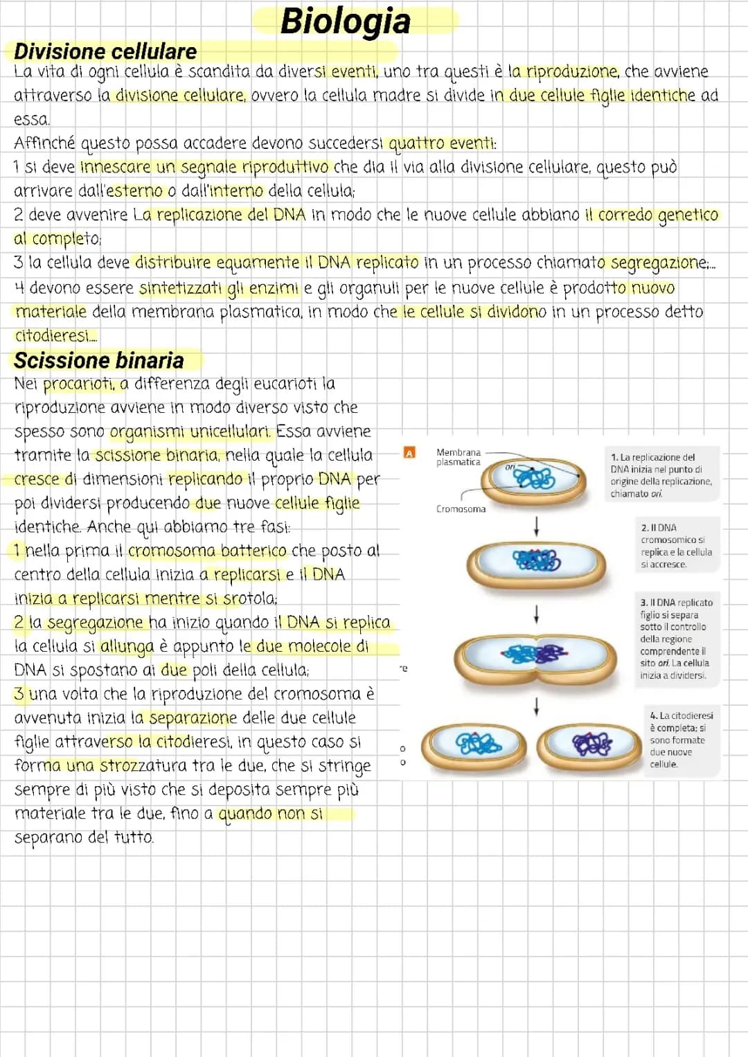 Mitosi, meiosi e genetica