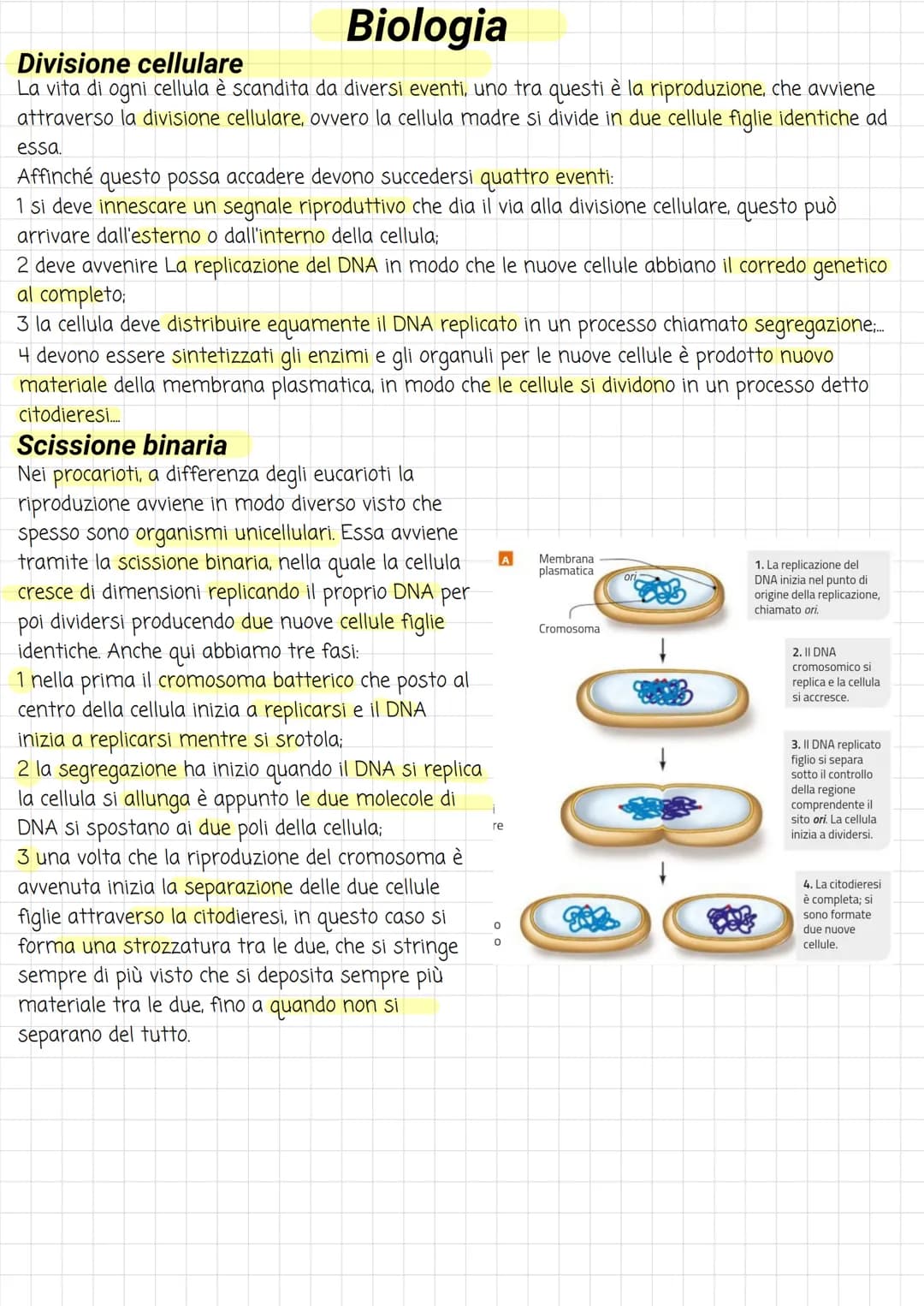 Biologia
Divisione cellulare
La vita di ogni cellula è scandita da diversi eventi, uno tra questi è la riproduzione, che avviene
attraverso 