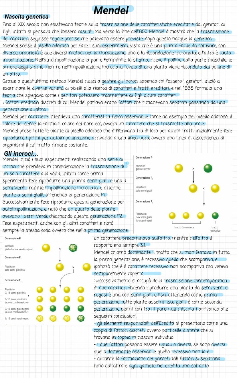 Biologia
Divisione cellulare
La vita di ogni cellula è scandita da diversi eventi, uno tra questi è la riproduzione, che avviene
attraverso 