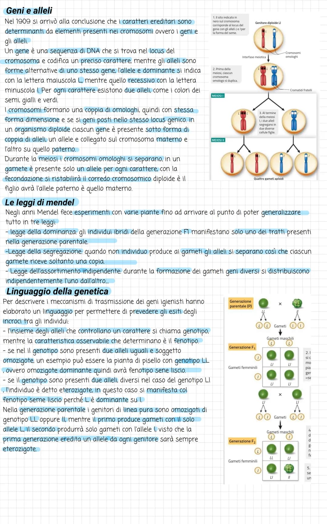 Biologia
Divisione cellulare
La vita di ogni cellula è scandita da diversi eventi, uno tra questi è la riproduzione, che avviene
attraverso 