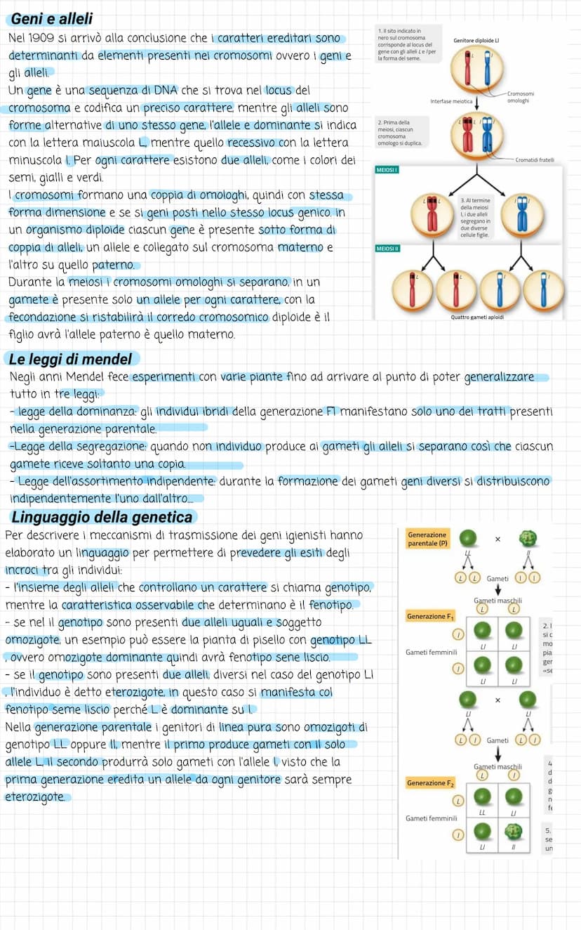 Biologia
Divisione cellulare
La vita di ogni cellula è scandita da diversi eventi, uno tra questi è la riproduzione, che avviene
attraverso 