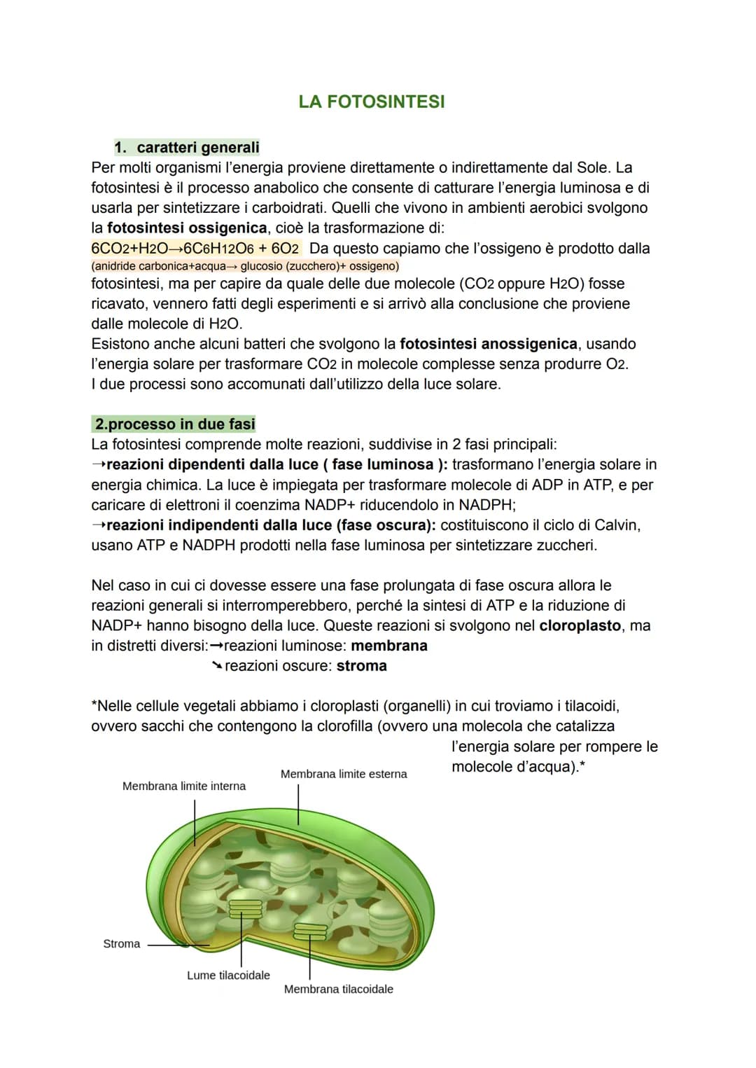 1. caratteri generali
Per molti organismi l'energia proviene direttamente o indirettamente dal Sole. La
fotosintesi è il processo anabolico 