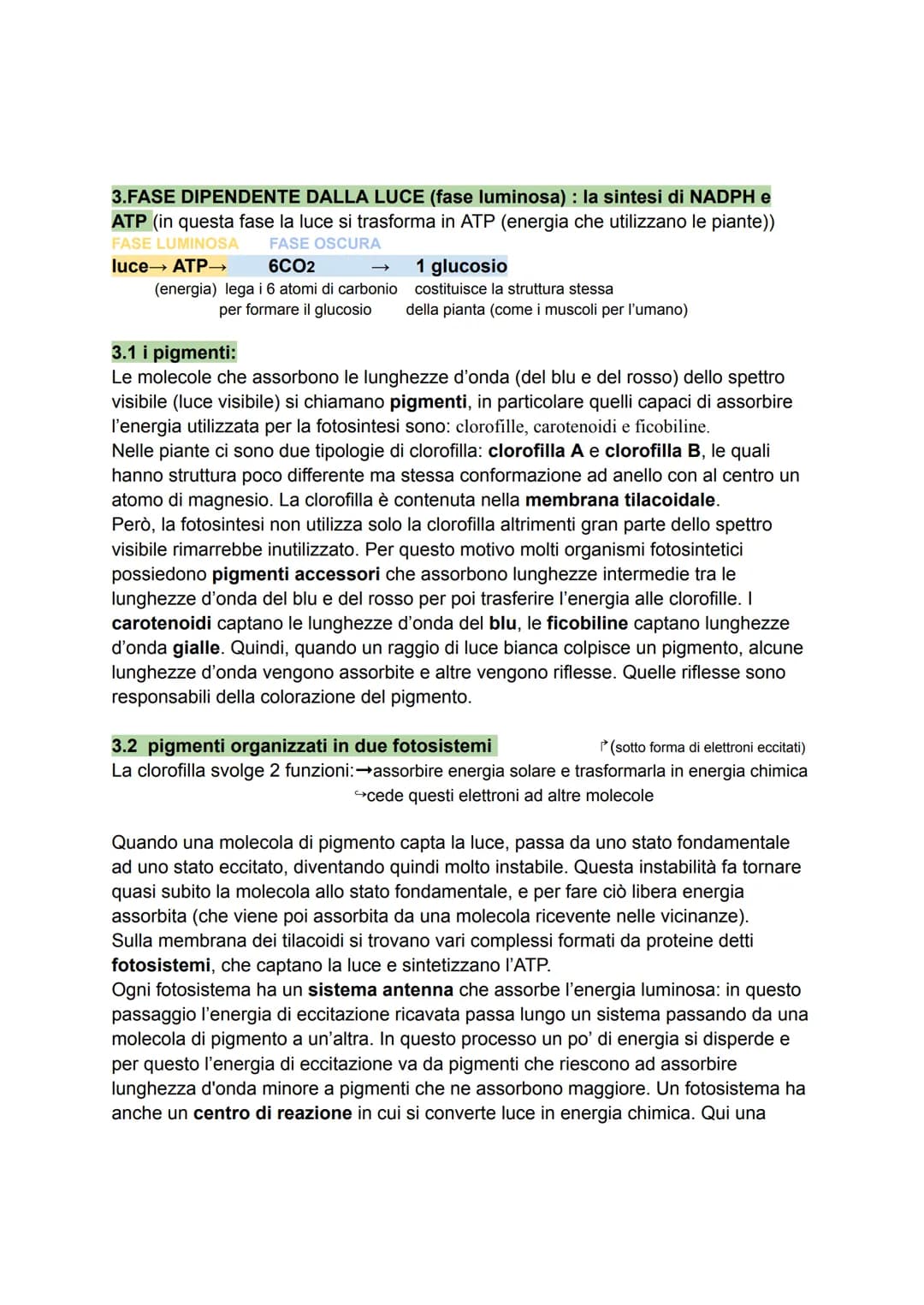 1. caratteri generali
Per molti organismi l'energia proviene direttamente o indirettamente dal Sole. La
fotosintesi è il processo anabolico 