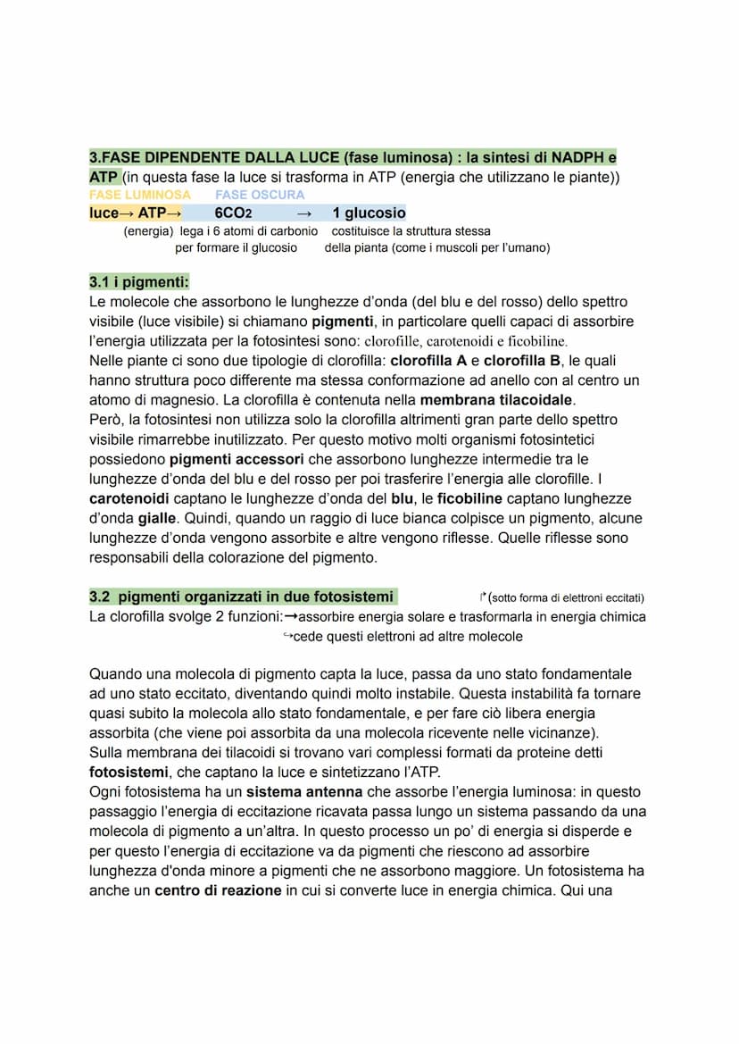 1. caratteri generali
Per molti organismi l'energia proviene direttamente o indirettamente dal Sole. La
fotosintesi è il processo anabolico 