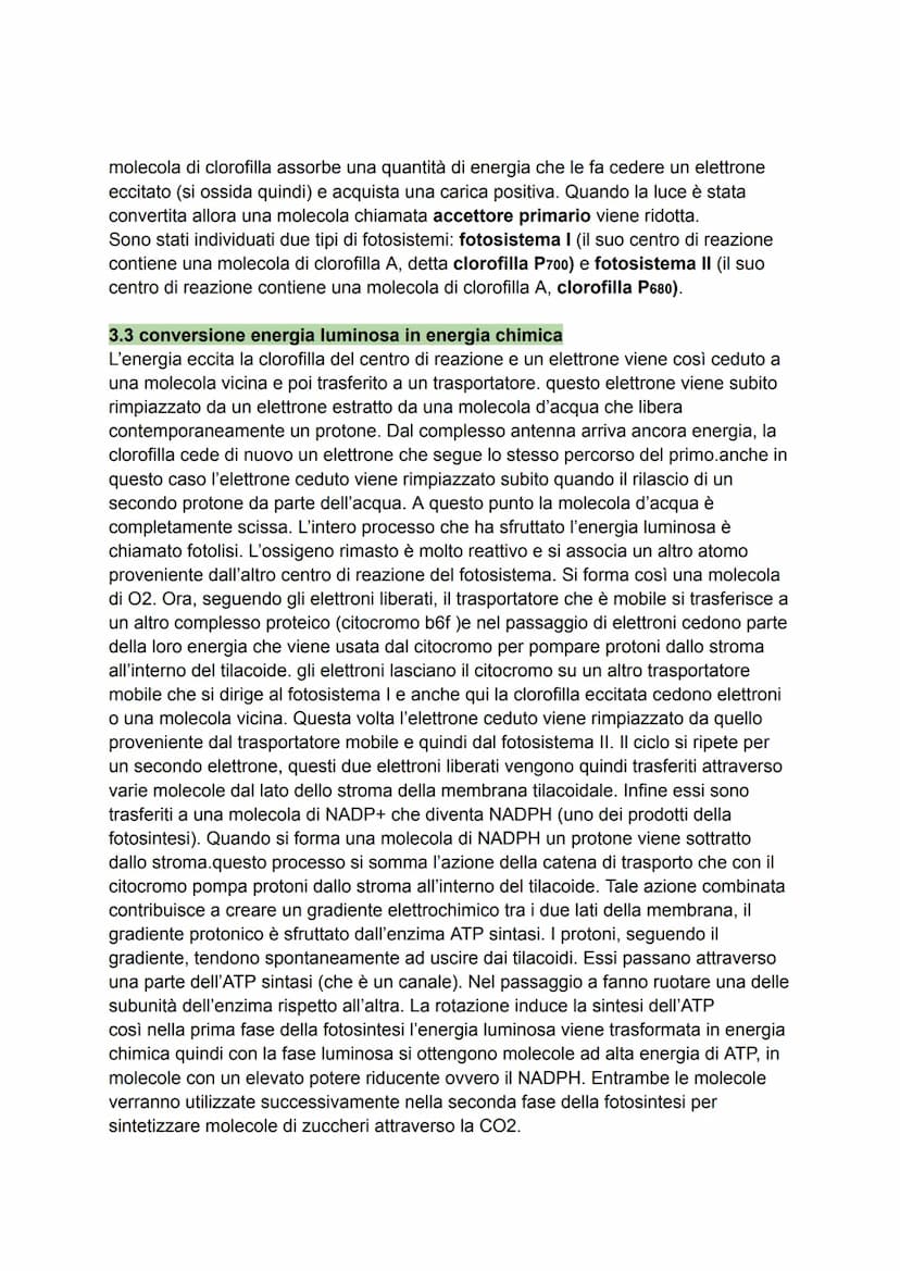 1. caratteri generali
Per molti organismi l'energia proviene direttamente o indirettamente dal Sole. La
fotosintesi è il processo anabolico 