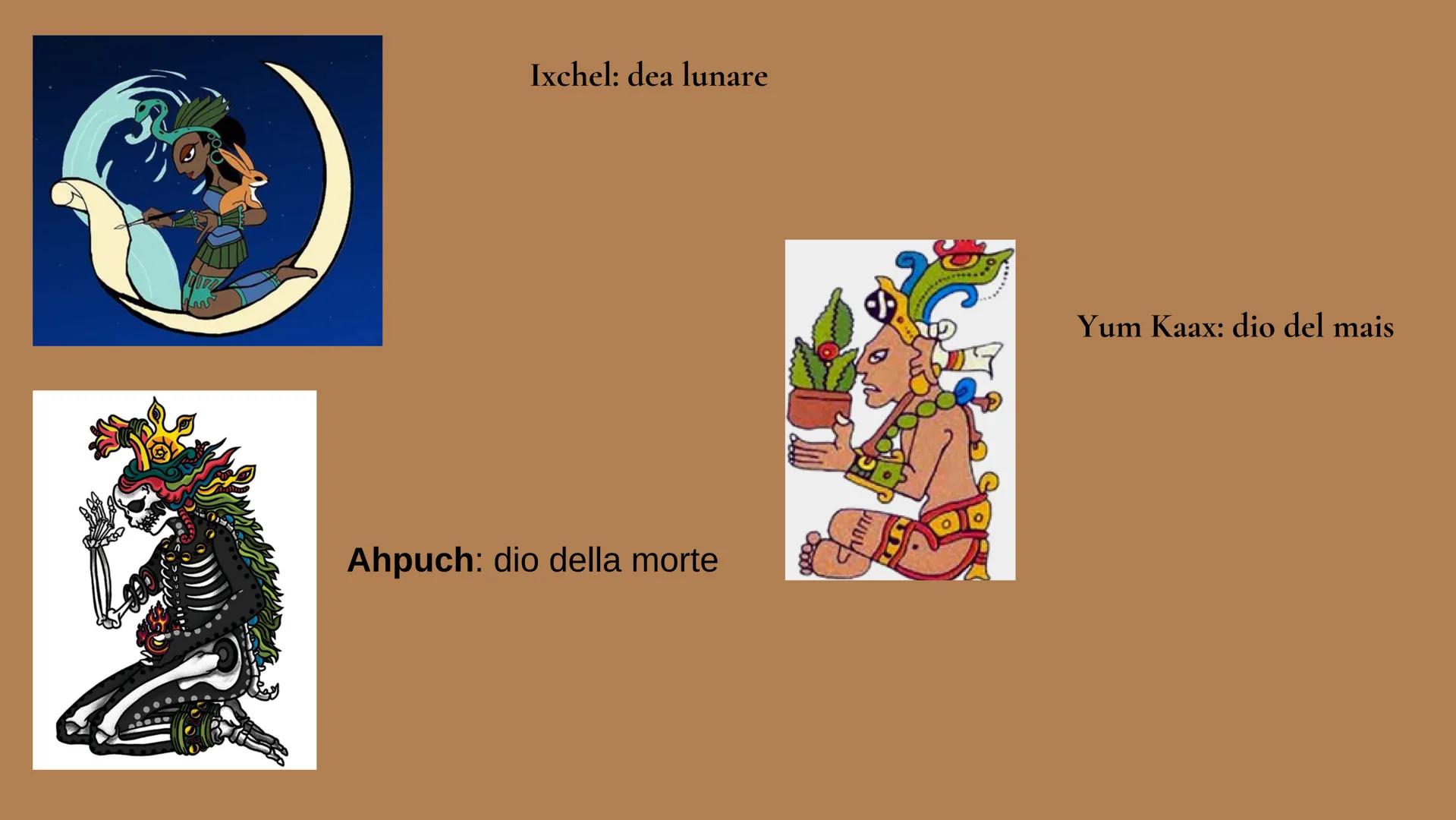 I MAYA
VITA E TRADIZIONI
EXTR
MAYA OCC
AFWERHENT ORGANIZZAZIONE POLITICA
I Maya non si organizzarono mai in un impero, ma si riunirono in pi