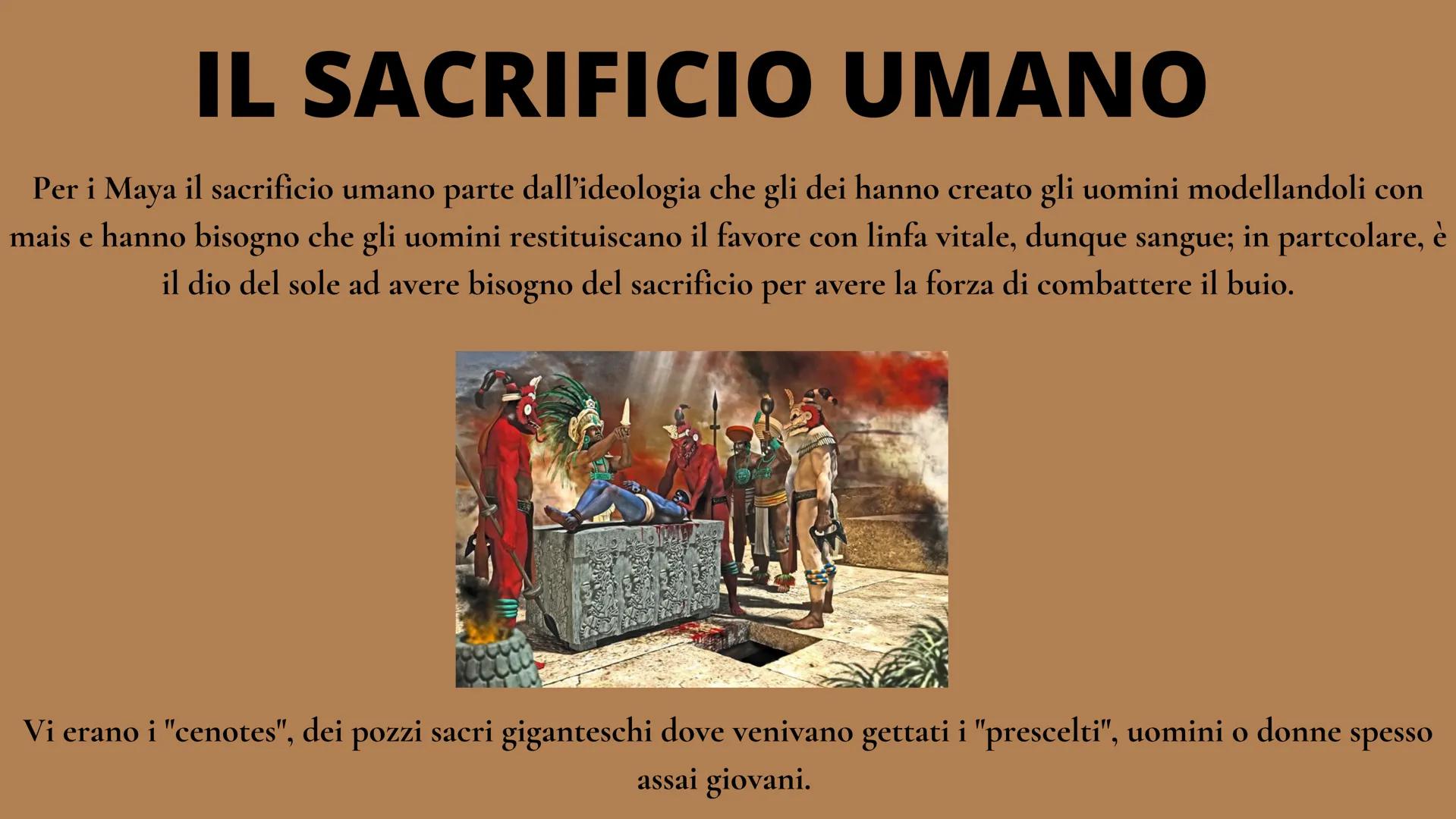 I MAYA
VITA E TRADIZIONI
EXTR
MAYA OCC
AFWERHENT ORGANIZZAZIONE POLITICA
I Maya non si organizzarono mai in un impero, ma si riunirono in pi