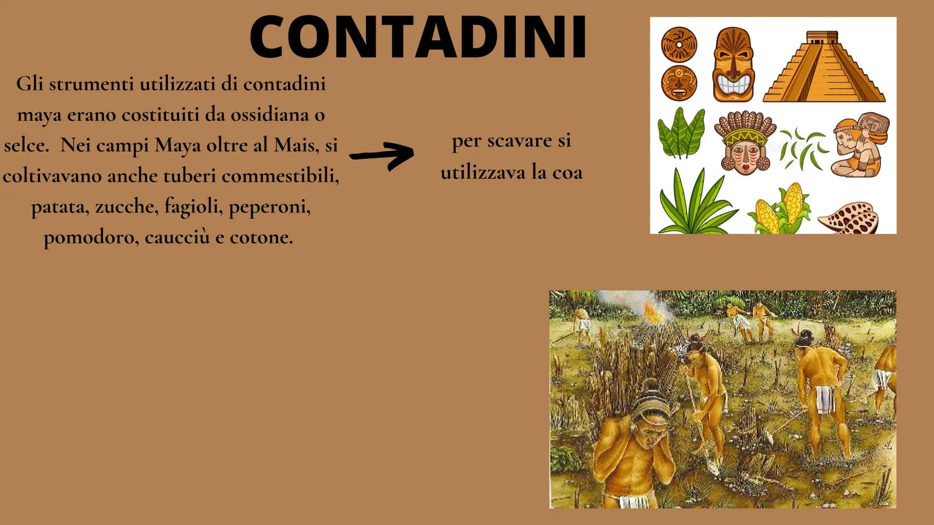 I MAYA
VITA E TRADIZIONI
EXTR
MAYA OCC
AFWERHENT ORGANIZZAZIONE POLITICA
I Maya non si organizzarono mai in un impero, ma si riunirono in pi