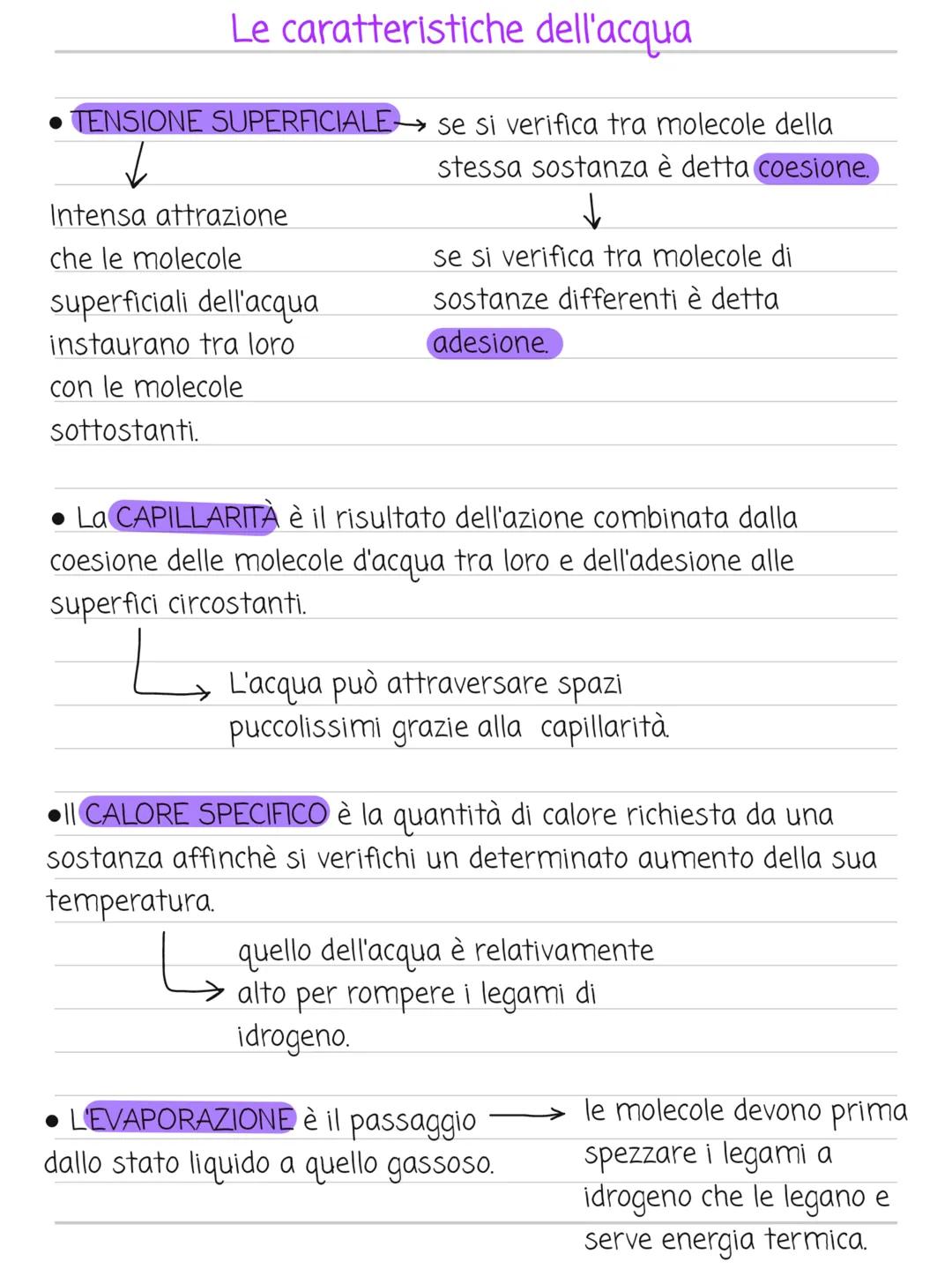 H2O --> 3/4
St 5 st
H--O--H
protoni)
LE MOLECOLE
Acqua
terrestre negli organismi viventi varia 50-95%
molecola polare (neutra, numero uguale