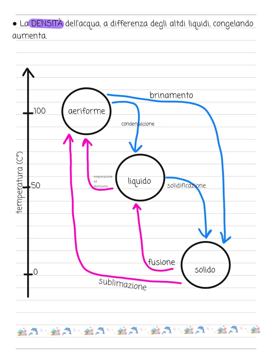 H2O --> 3/4
St 5 st
H--O--H
protoni)
LE MOLECOLE
Acqua
terrestre negli organismi viventi varia 50-95%
molecola polare (neutra, numero uguale