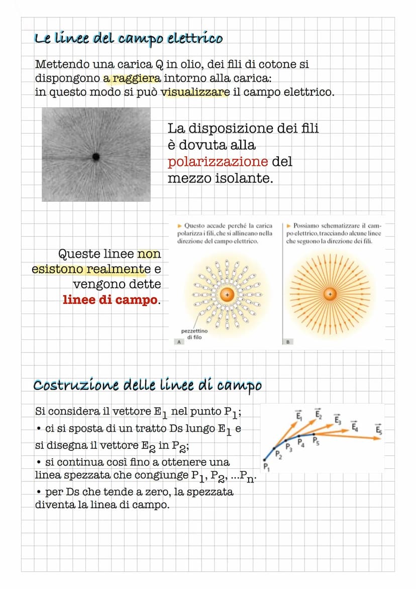 Il campo elettrico
Il vettore campo elettrico
La forza tra due corpi carichi, come quella gravitazionale,
è una forza a distanza: agisce sen