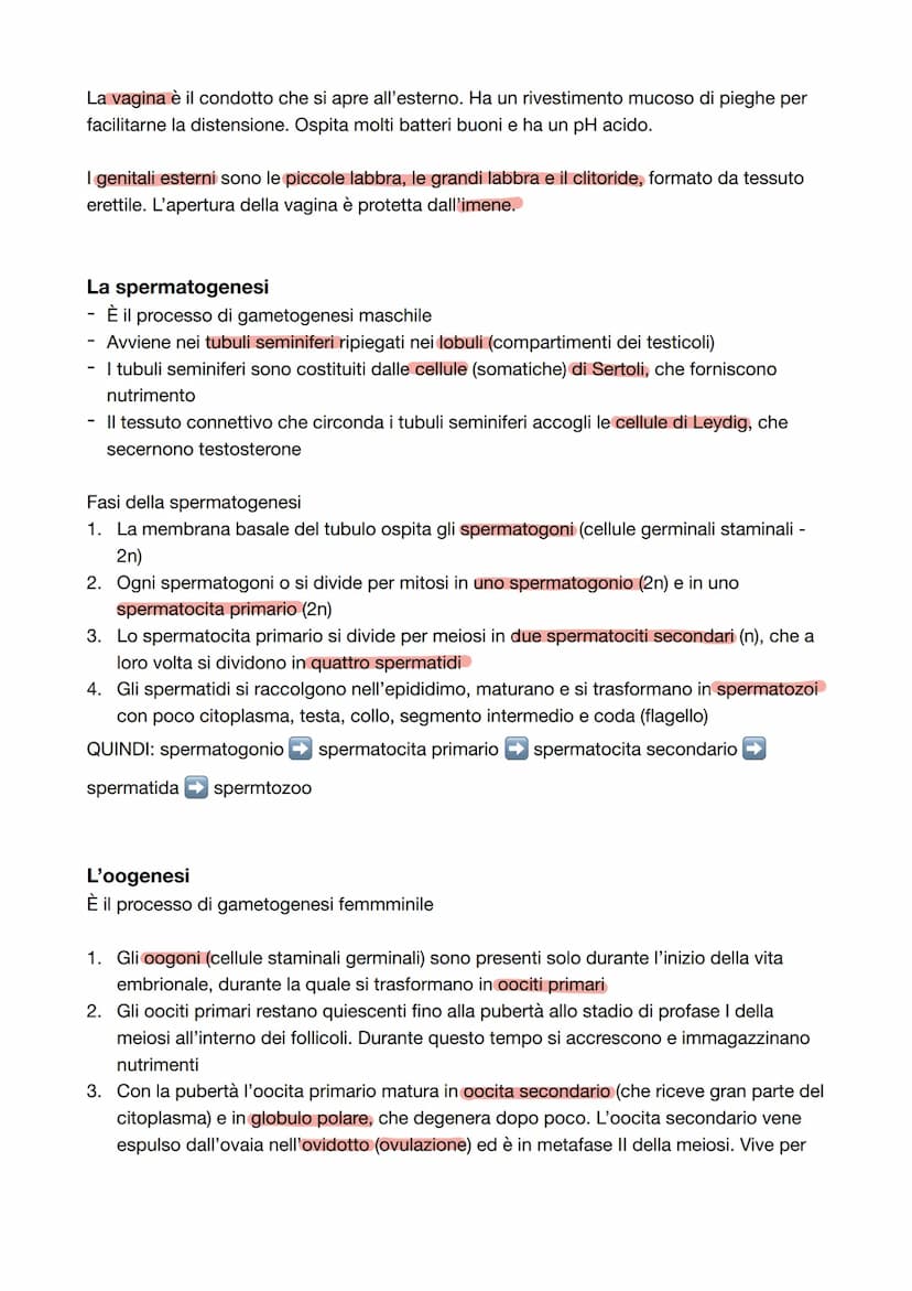 Capitolo 8: L'apparato riproduttore
Riproduzione = processo grazie al quale vengono generati nuovi individui della specie; è
l'unica funzion