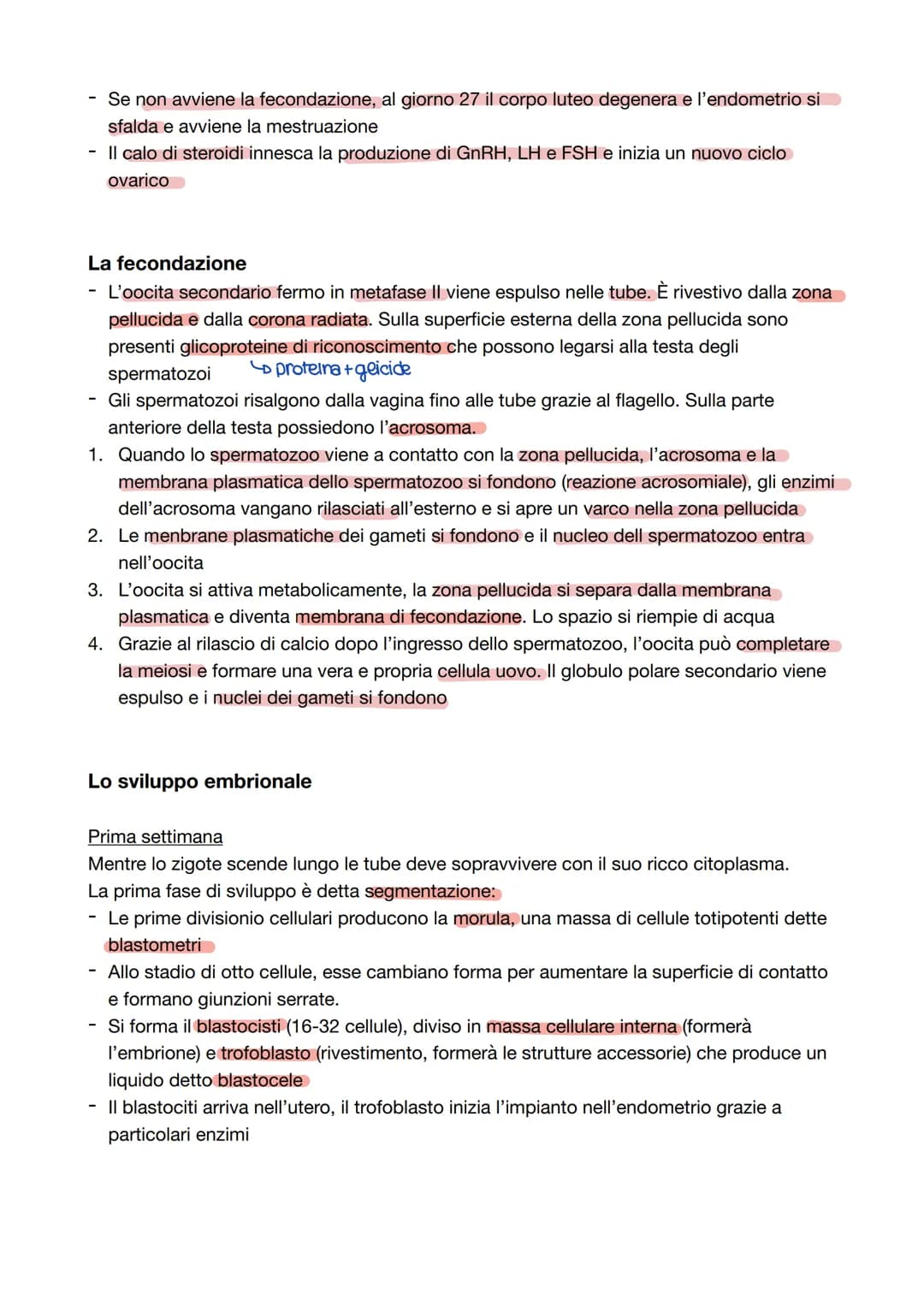 Capitolo 8: L'apparato riproduttore
Riproduzione = processo grazie al quale vengono generati nuovi individui della specie; è
l'unica funzion