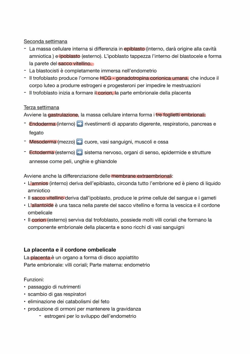 Capitolo 8: L'apparato riproduttore
Riproduzione = processo grazie al quale vengono generati nuovi individui della specie; è
l'unica funzion