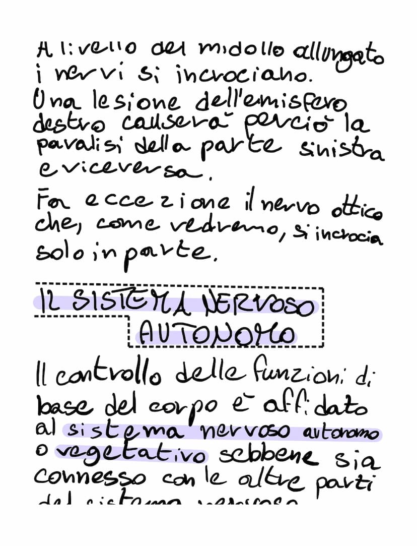 il sistema nervoso
il sistema nervoso:
•riceve, attraverso i recettori
• elabora
•invia
SISTEMA NERVOSO
é formato
K
centrale tessuto nervoso