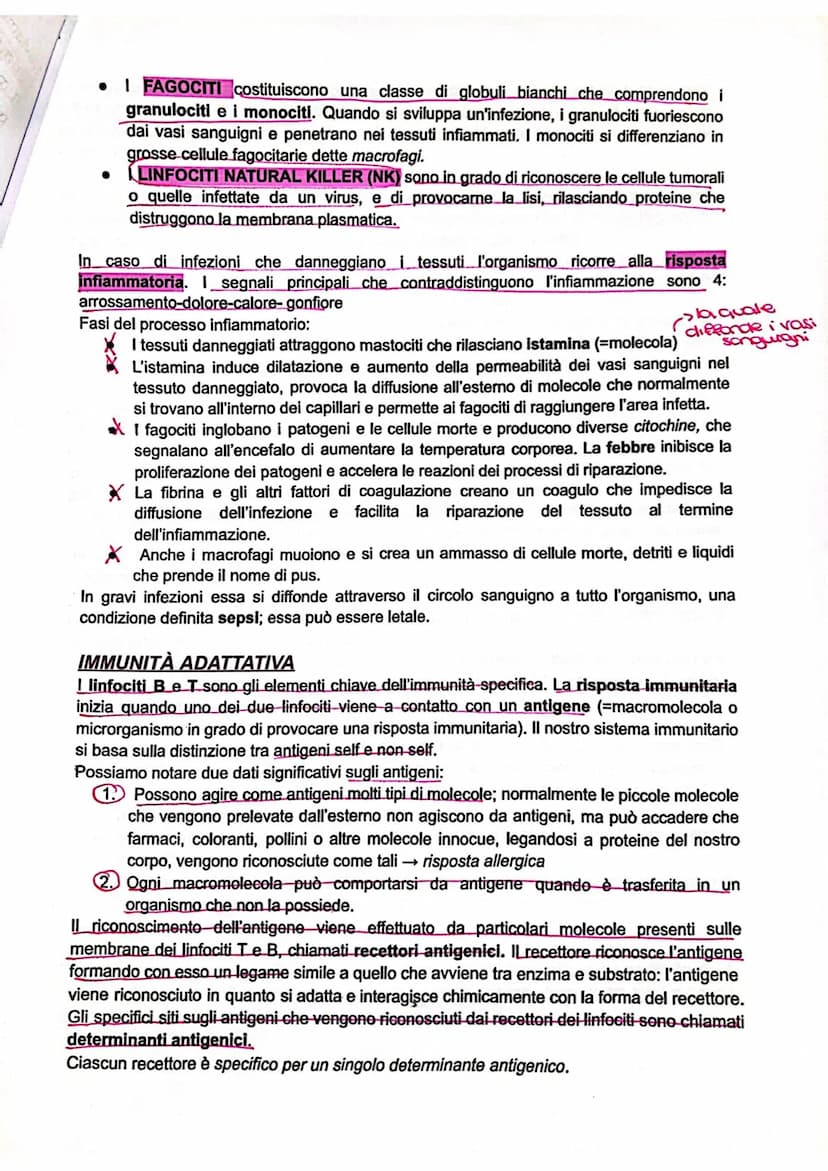 SISTEMA LINFATICO E L'IMMUNITÀ'
SISTEMA LINFATICO
L'immunità è la capacità di utilizzare le proprie difese per contrastare gli agenti patoge