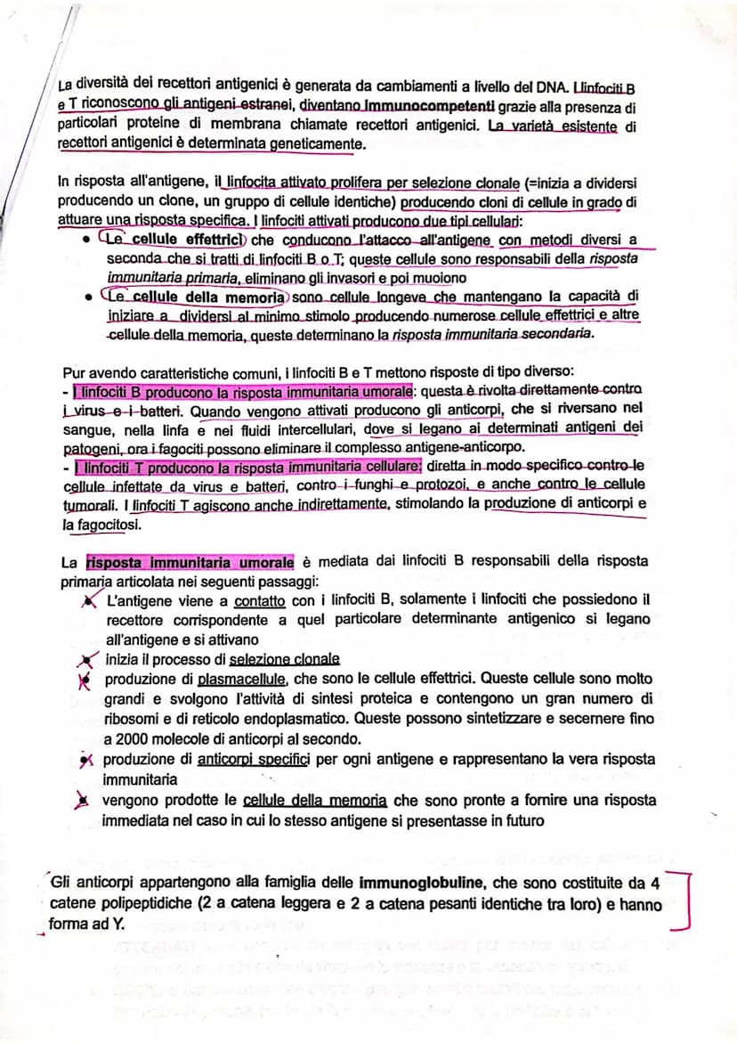 SISTEMA LINFATICO E L'IMMUNITÀ'
SISTEMA LINFATICO
L'immunità è la capacità di utilizzare le proprie difese per contrastare gli agenti patoge