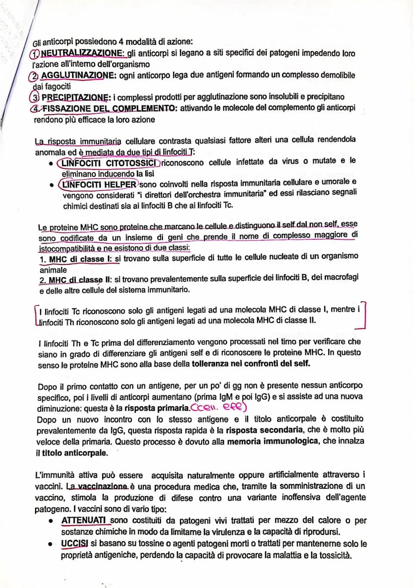 SISTEMA LINFATICO E L'IMMUNITÀ'
SISTEMA LINFATICO
L'immunità è la capacità di utilizzare le proprie difese per contrastare gli agenti patoge
