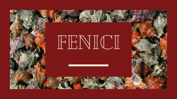 Know fenici thumbnail