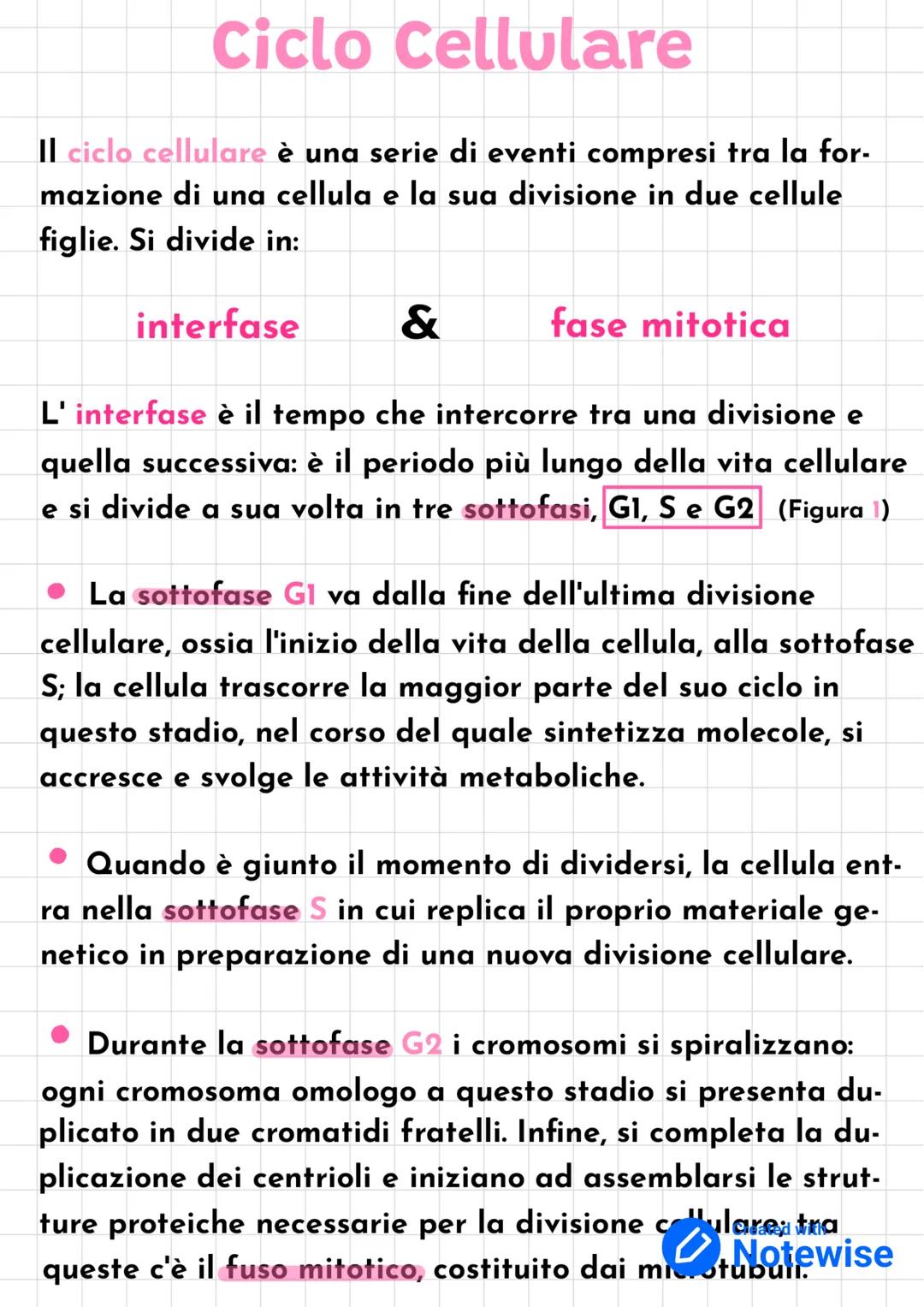 Ciclo Cellulare
Il ciclo cellulare è una serie di eventi compresi tra la for-
mazione di una cellula e la sua divisione in due cellule
figli