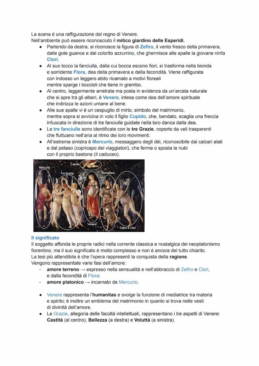 BOTTICELLI
L'artista
Alessandro Filipepi, noto come Sandro Botticelli, incarna la nuova figura di artista
del Rinascimento maturo.
Botticell