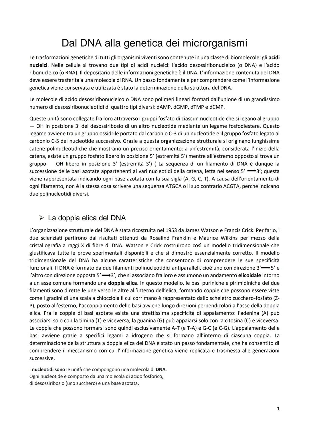 BIOCHIMICA:DNA, RNA, replicazione, trascrizione e traduzione, l'organizzazione dei geni, i virus