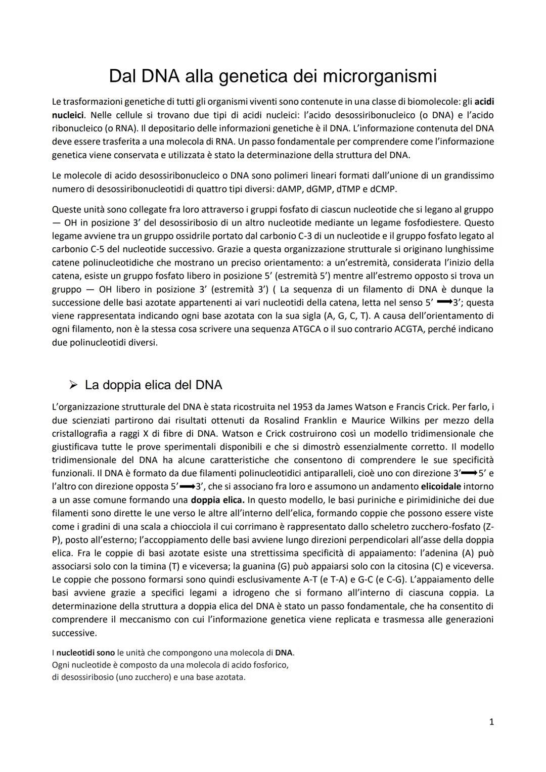 Dal DNA alla genetica dei microrganismi
Le trasformazioni genetiche di tutti gli organismi viventi sono contenute in una classe di biomoleco