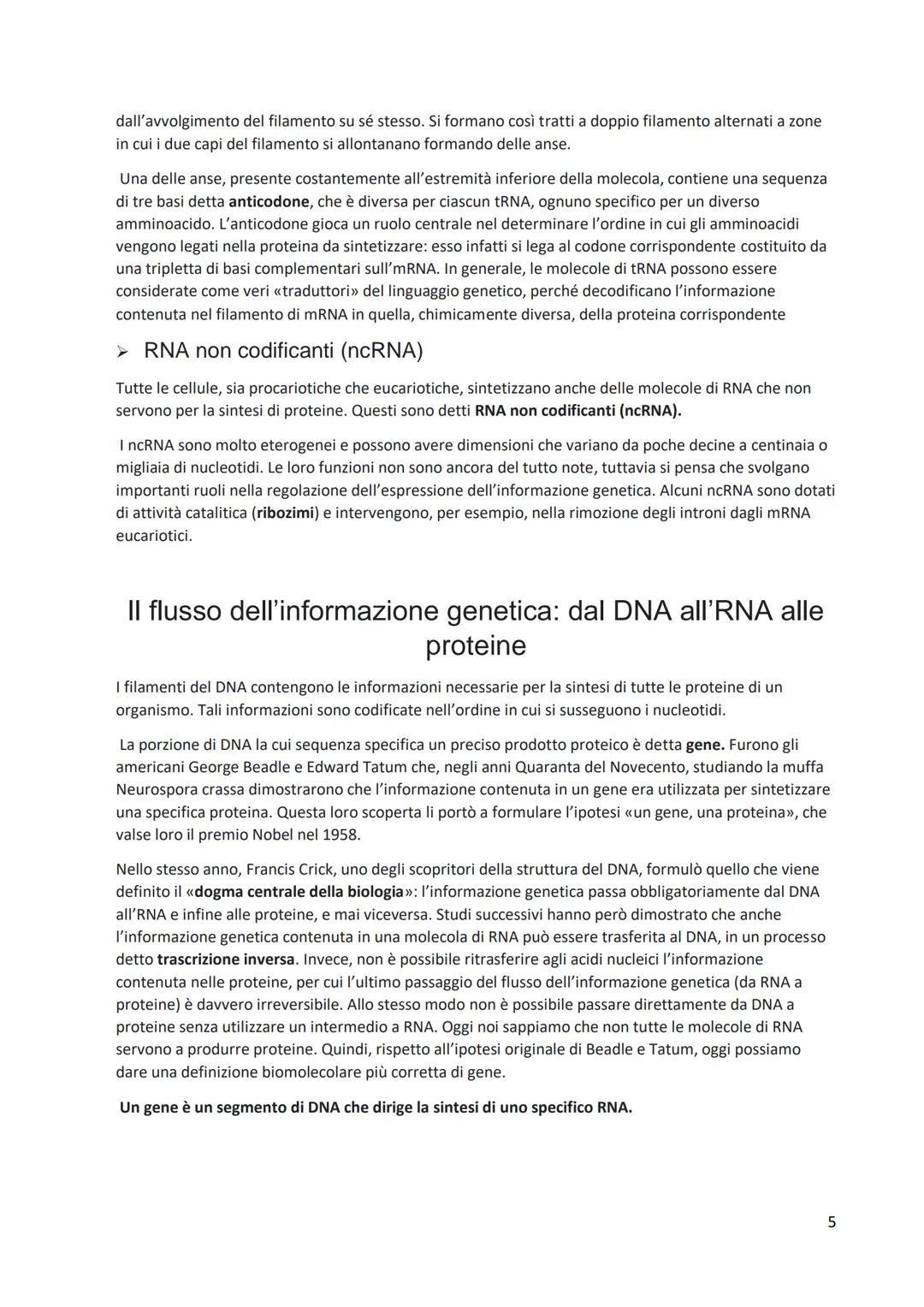 Dal DNA alla genetica dei microrganismi
Le trasformazioni genetiche di tutti gli organismi viventi sono contenute in una classe di biomoleco