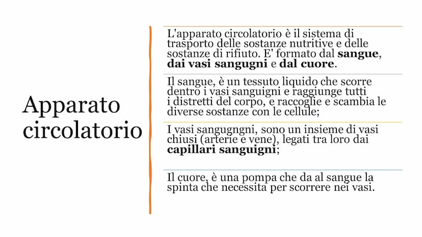 Apparato
circolatorio
O
Questa foto di Autore sconosciuto è concessa in licenza secondo CC BY-NC-ND Apparato
circolatorio
L'apparato circola