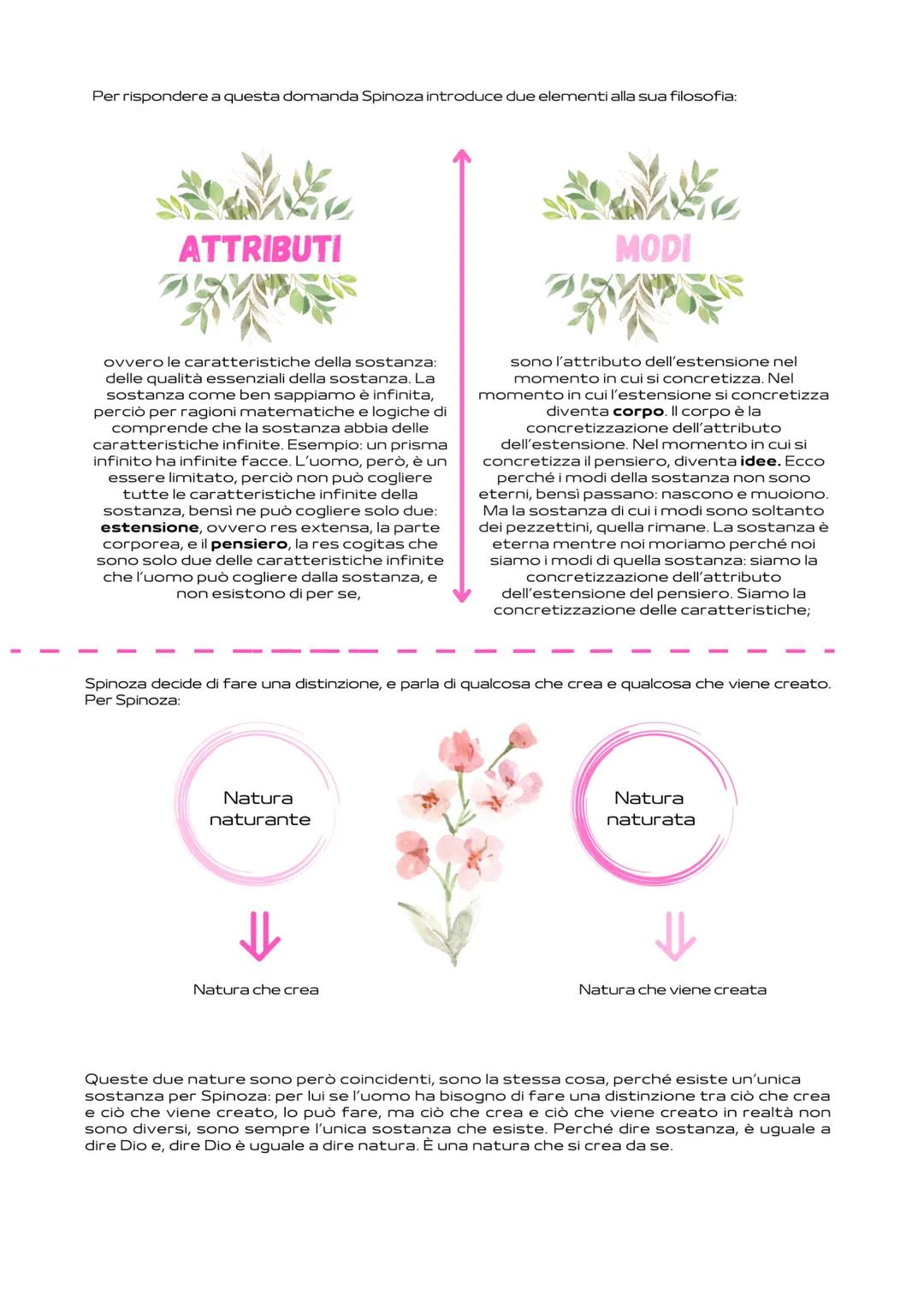 Spinoza
1632-1677
La famiglia di Spinoza, prima che lui nascesse, visse in Spagna,
nella penisola Iberica. Prima che Spinoza nasca i genitor