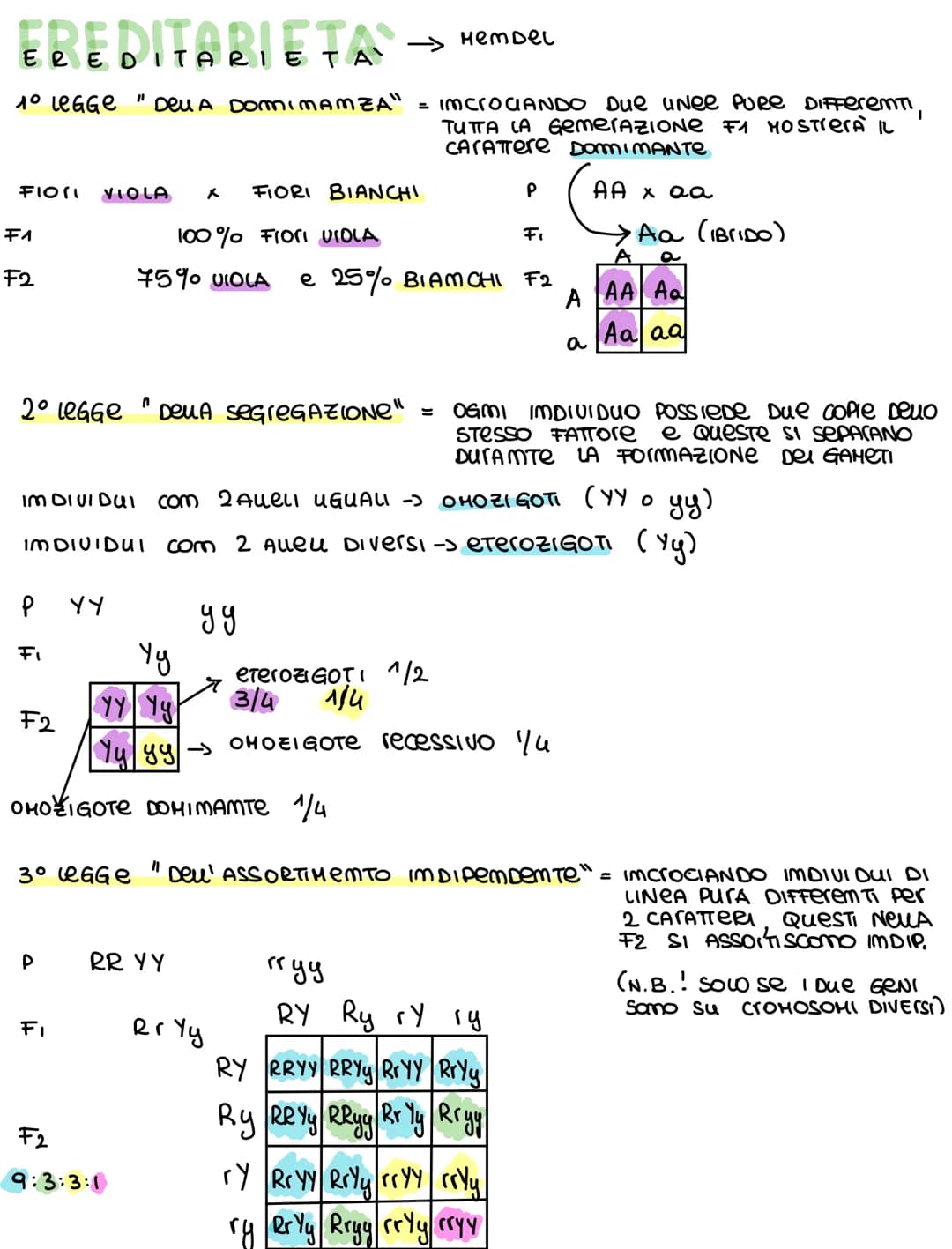 EREDITARIE TA
1° LeGGe Deu A DOMIMAMZA" = ImcrocIANDO Due uNee PURE DIFFerenti,
TUTTA LA GemerAZIONE F1 MOSTRerÀ IL
CARATTere DOMIMANTE
FIOR