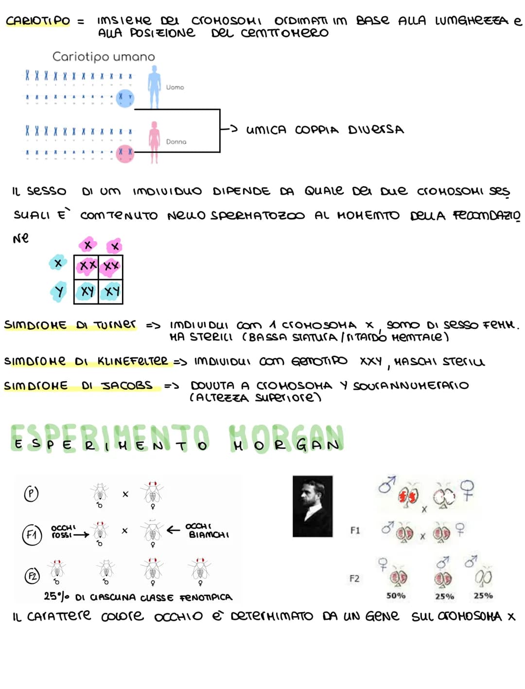 EREDITARIE TA
1° LeGGe Deu A DOMIMAMZA" = ImcrocIANDO Due uNee PURE DIFFerenti,
TUTTA LA GemerAZIONE F1 MOSTRerÀ IL
CARATTere DOMIMANTE
FIOR