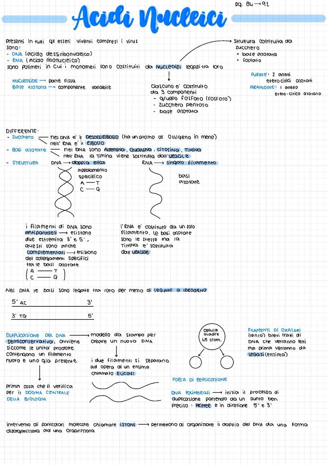Acidi Nucleici - DNA e RNA