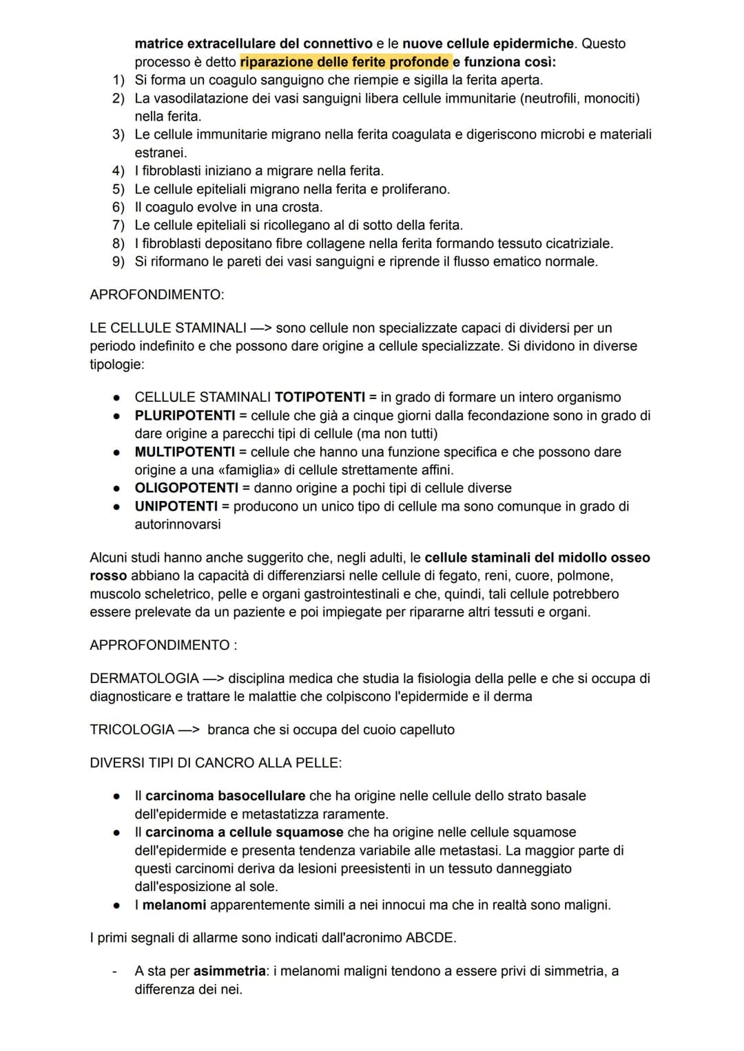 L'apparato tegumentario
APPARATO TEGUMENTARIO → composto da organi come la pelle, le ghiandole, i peli, i
capelli e le unghie
PELLE →→ organ