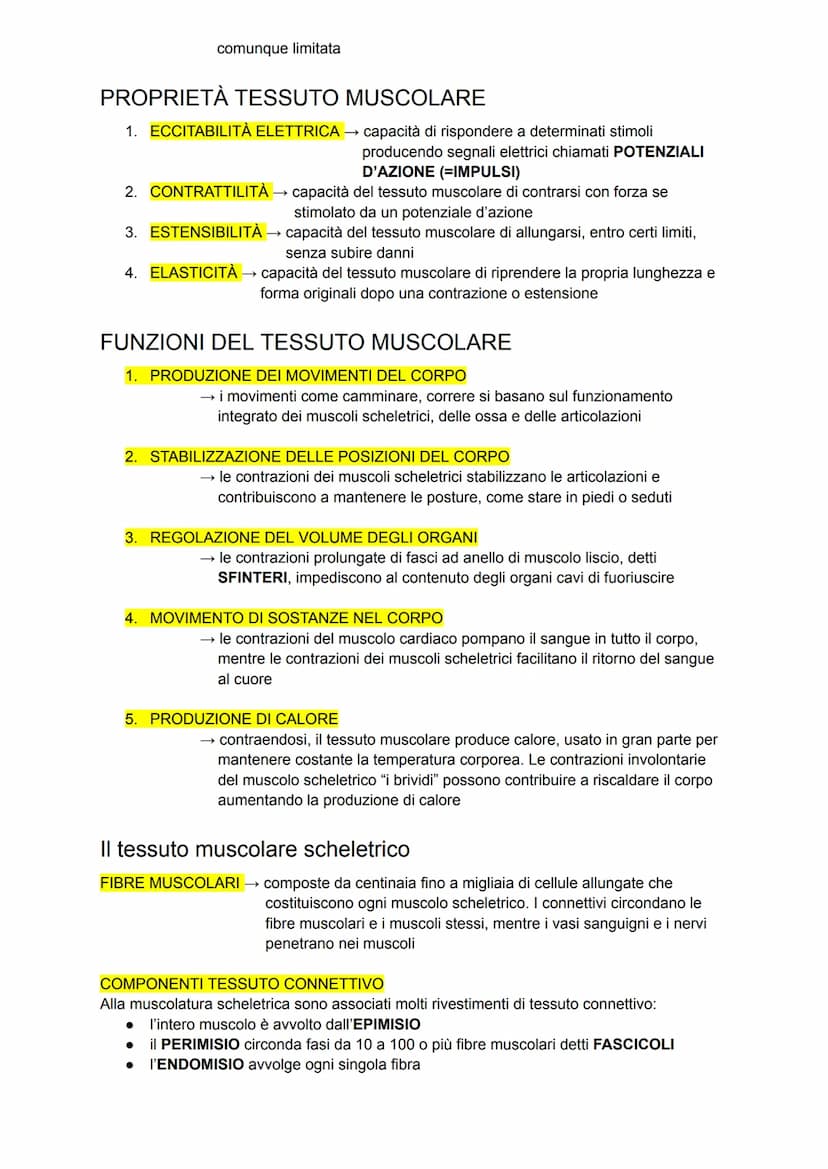 L'apparato tegumentario
APPARATO TEGUMENTARIO → composto da organi come la pelle, le ghiandole, i peli, i
capelli e le unghie
PELLE →→ organ