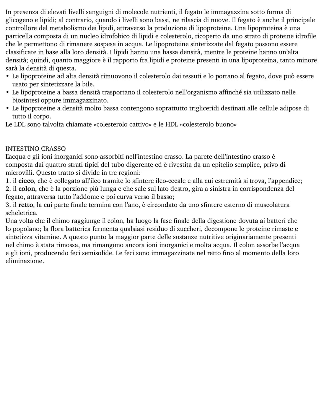 APPARATO DIGERENTE
L'apparato digerente fornisce all'organismo tutti i nutrienti di cui ha bisogno, ricavandoli dagli alimenti.
Questo proce