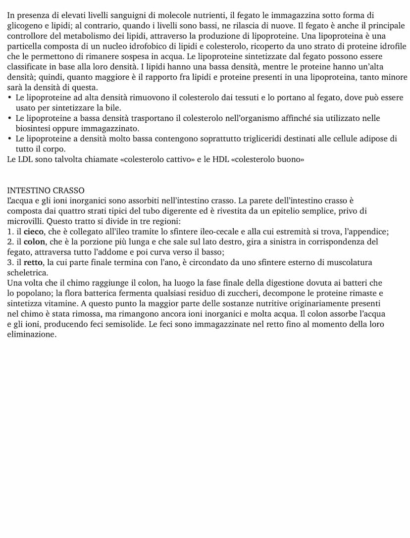 APPARATO DIGERENTE
L'apparato digerente fornisce all'organismo tutti i nutrienti di cui ha bisogno, ricavandoli dagli alimenti.
Questo proce