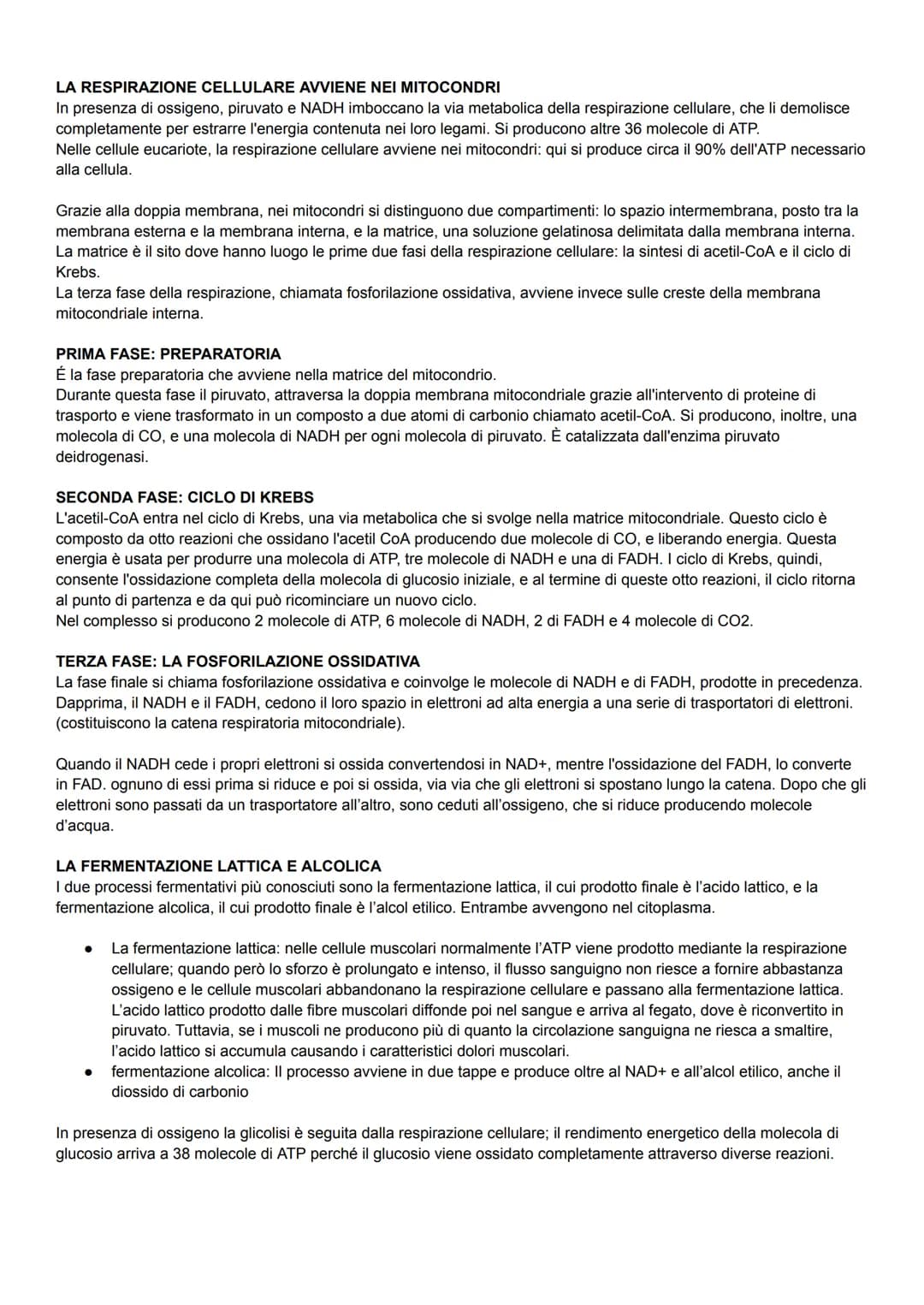 GLI ORGANISMI E L'ENERGIA
Tutti gli organismi viventi scambiano continuamente energia con l'ambiente.
Esistono diverse forme di energia, ma 