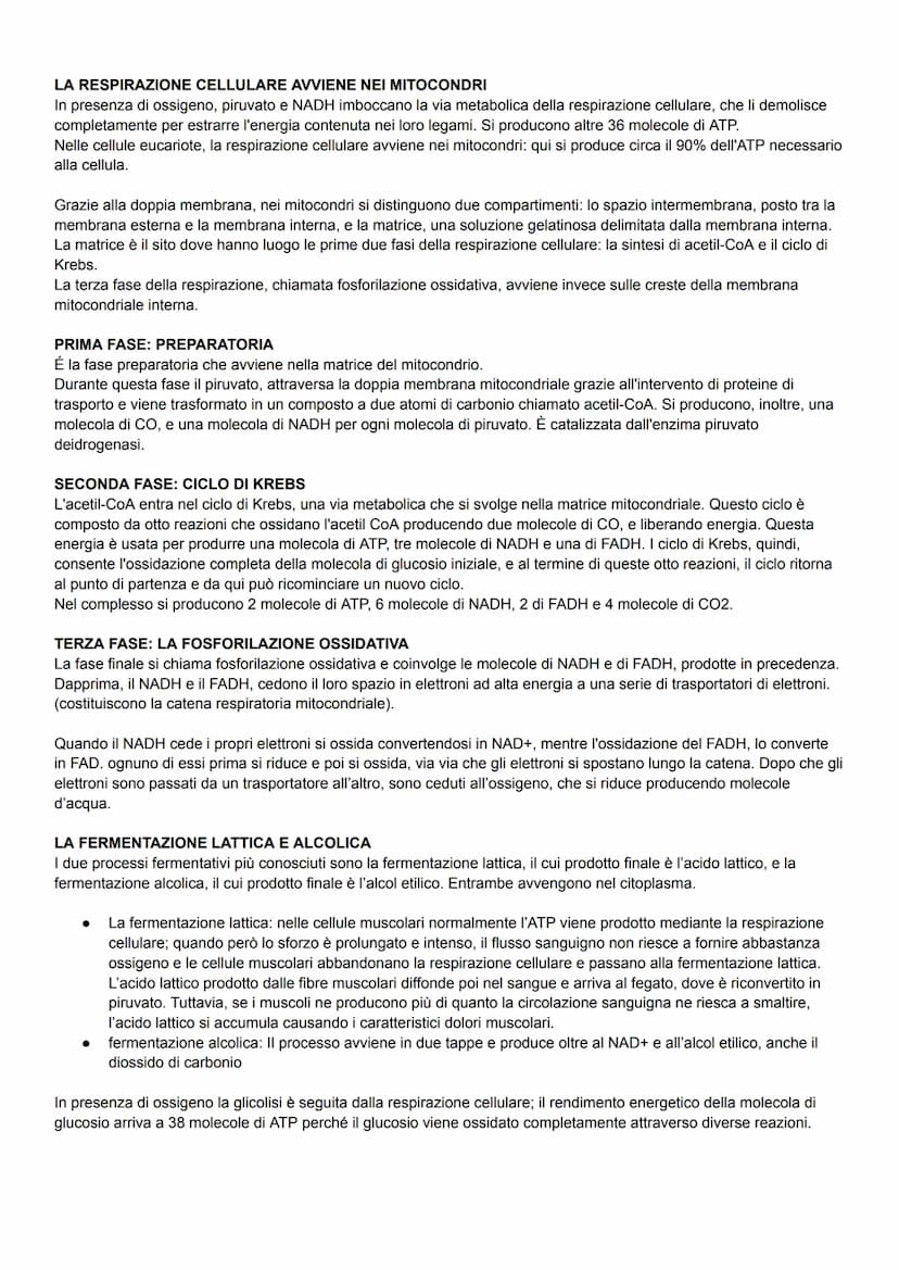 GLI ORGANISMI E L'ENERGIA
Tutti gli organismi viventi scambiano continuamente energia con l'ambiente.
Esistono diverse forme di energia, ma 